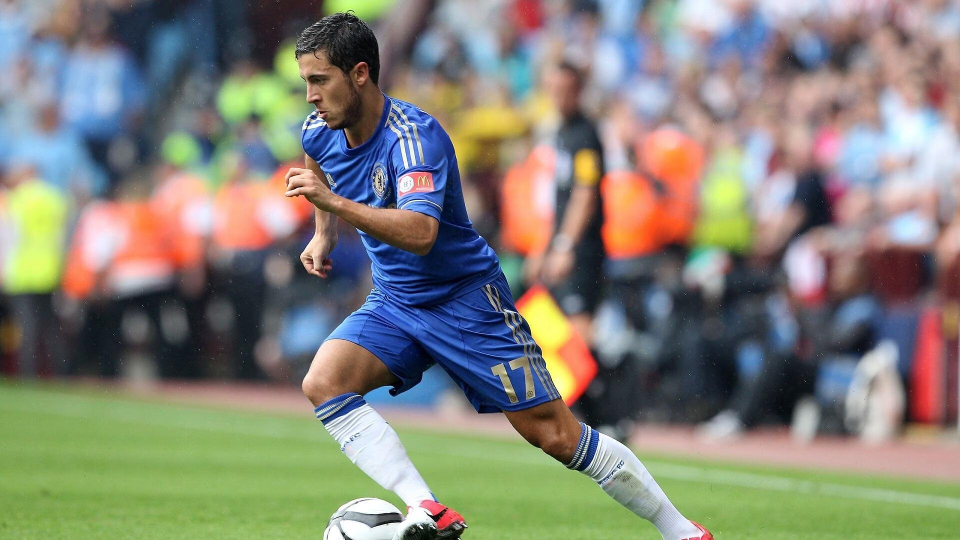 比利时马术协会举办马术运动员国际交流活动，促进文化互鉴。，比利时战马